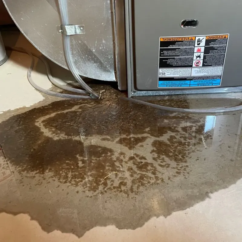 Pipe Burst and Leak Restoration in Yarmouth, ME